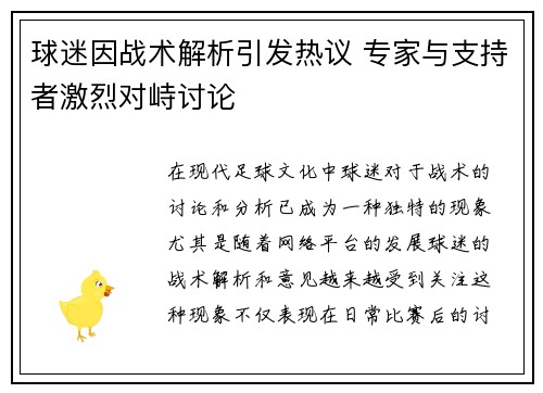 球迷因战术解析引发热议 专家与支持者激烈对峙讨论