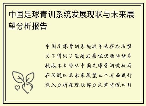中国足球青训系统发展现状与未来展望分析报告