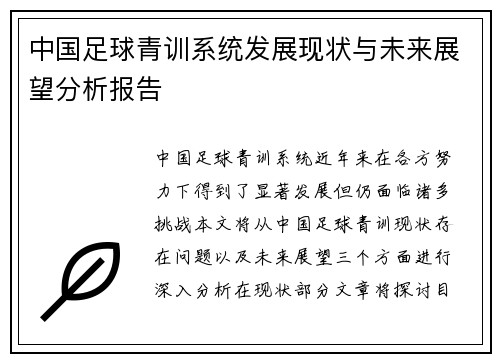 中国足球青训系统发展现状与未来展望分析报告